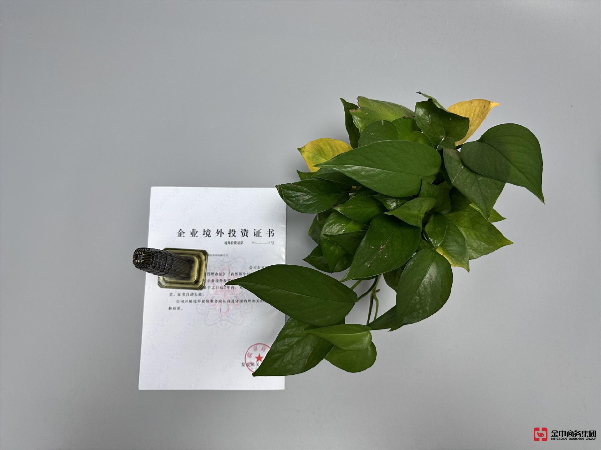 odi備案登記